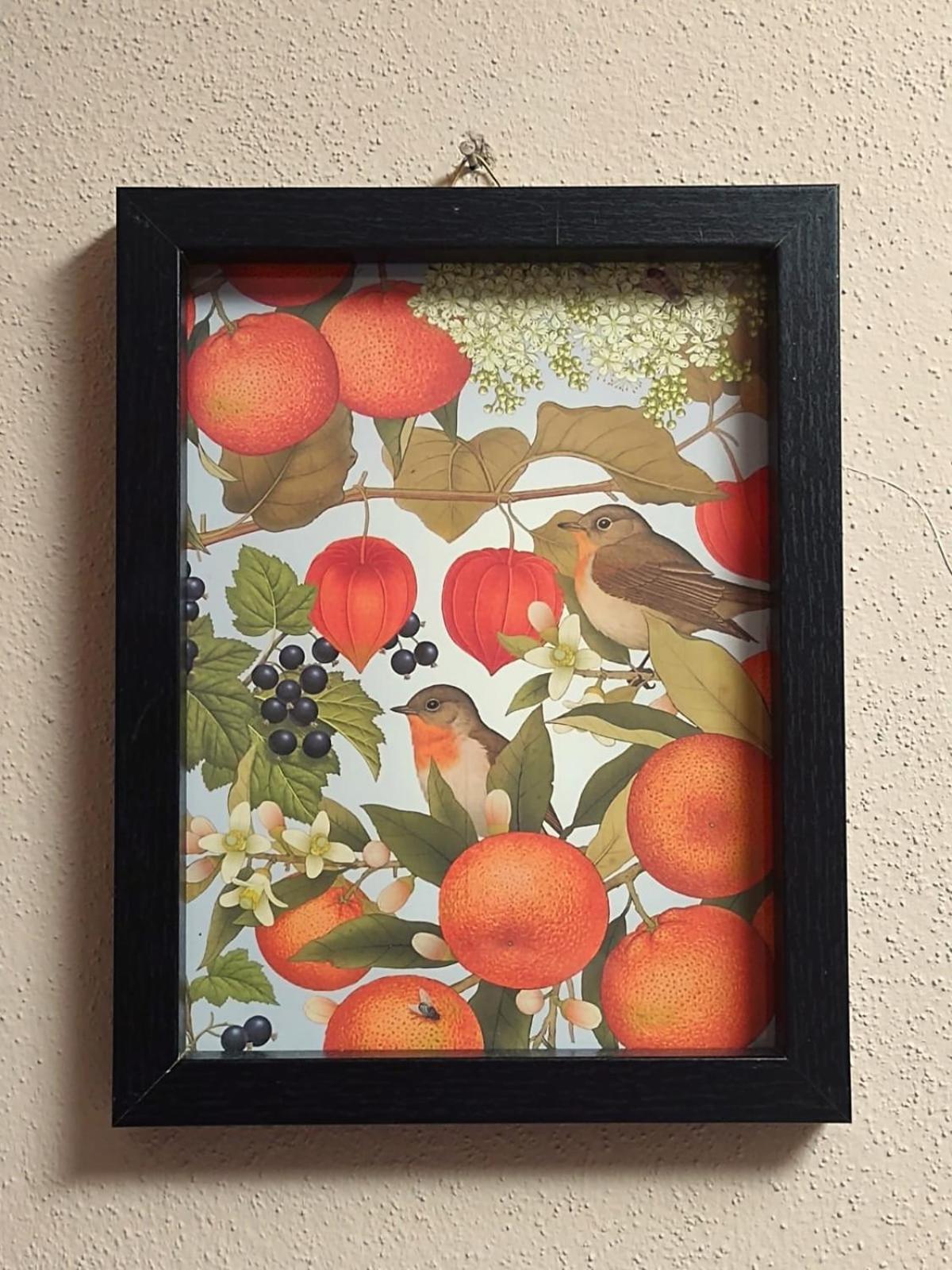 Casa Di Claudia Apartment Arnasco ภายนอก รูปภาพ